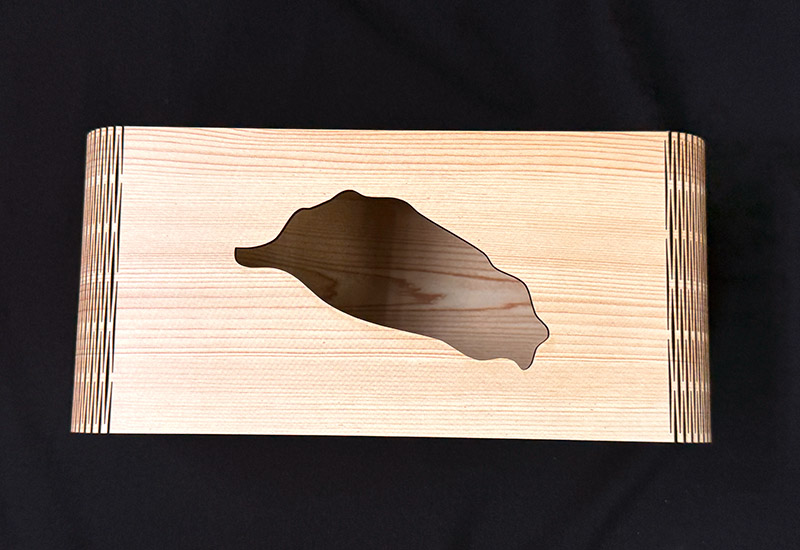 寬尾鳳蝶面紙盒